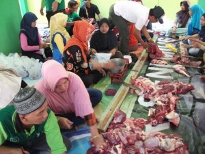 Read more about the article Penyembelihan Hewan Qurban 1435 H.