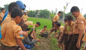 Read more about the article Mengenal Alam dan Bercocok Tanam